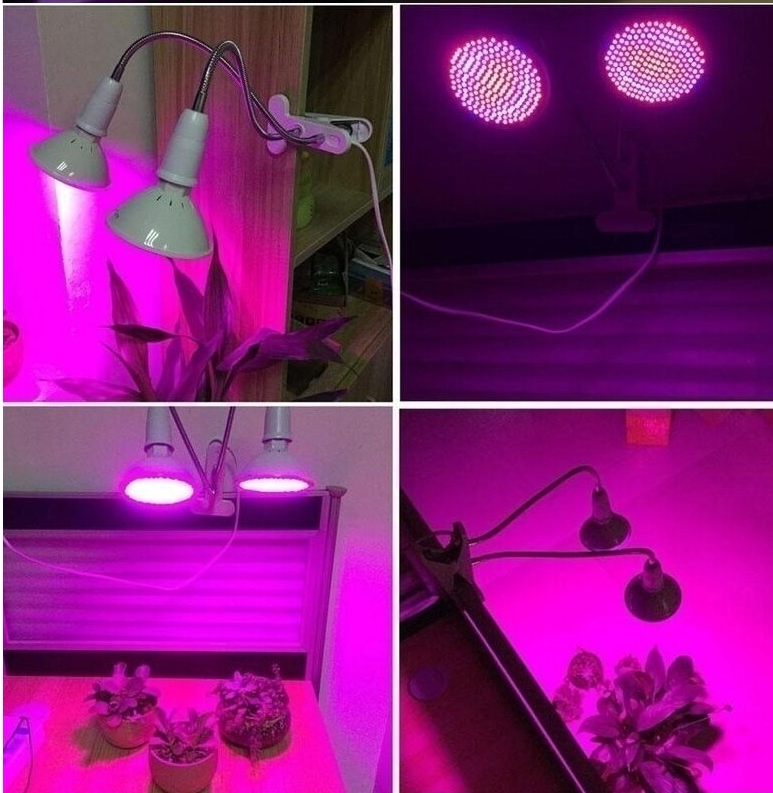 bitkiler için yapay ışık