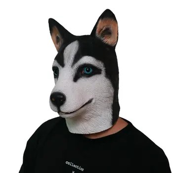 Husky köpek - Karnaval maskeleri kafayla yüzleşiyor