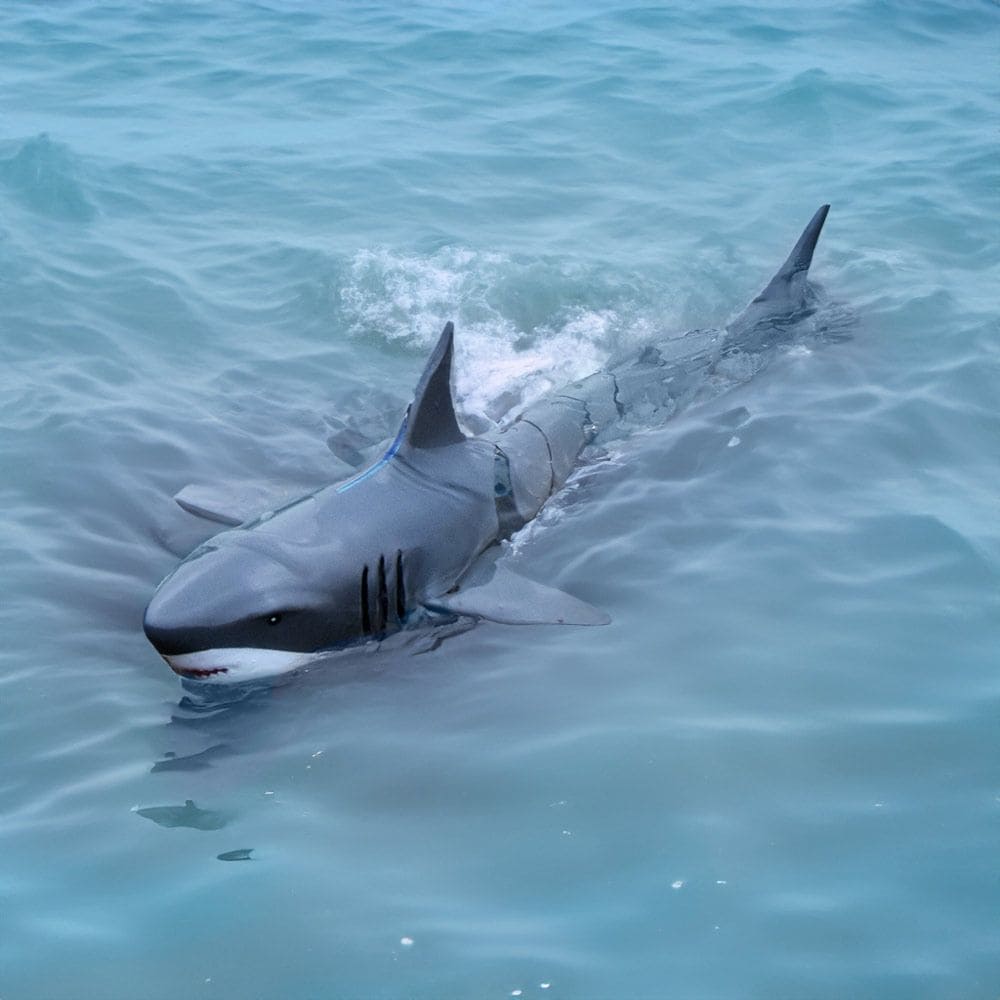 Bir denetleyiciyle suya uzaktan kumanda için RC köpekbalığı