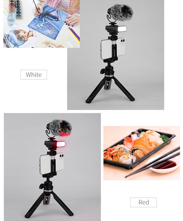 cep telefonu için tripod (selfie tutucu) + mikrofon ve ışık